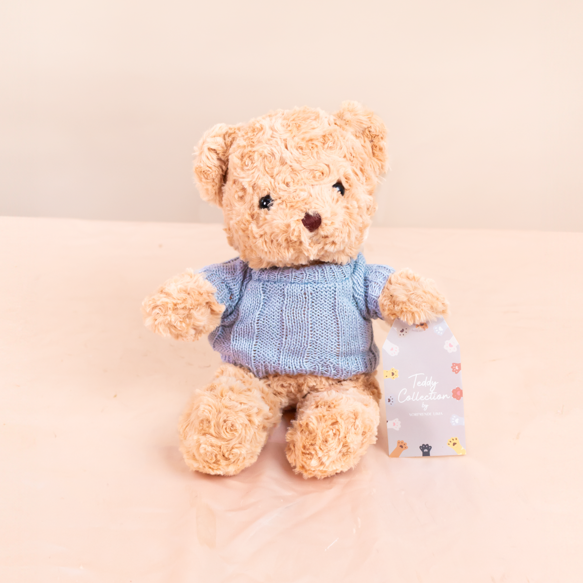 PELUCHE OSITO TEDDY